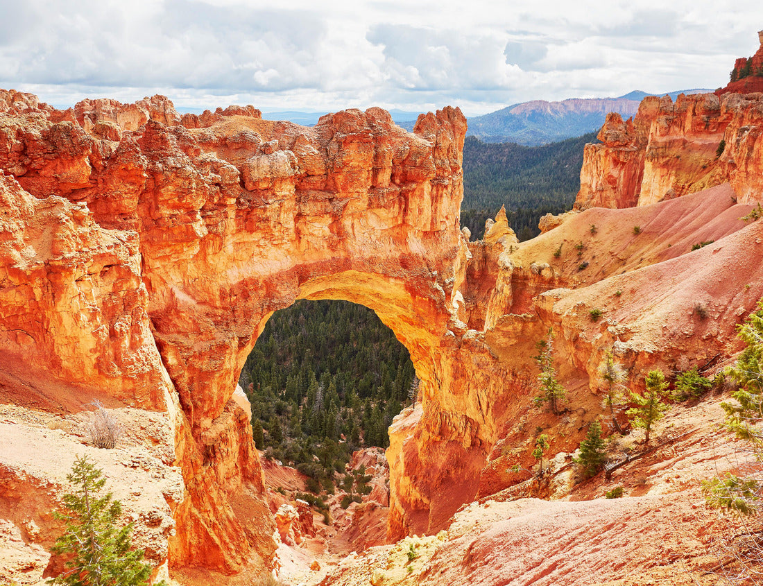 Noah Jigsaw Puzzle Natural bridge rock formation in Bryce Canyon National Park, Utah, USA 1000 Pieces