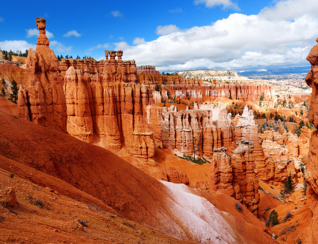Noah Jigsaw Puzzle Scenic view of stunning red sandstone hoodoos in Bryce Canyon National Park in Utah, USA 1000 Pieces