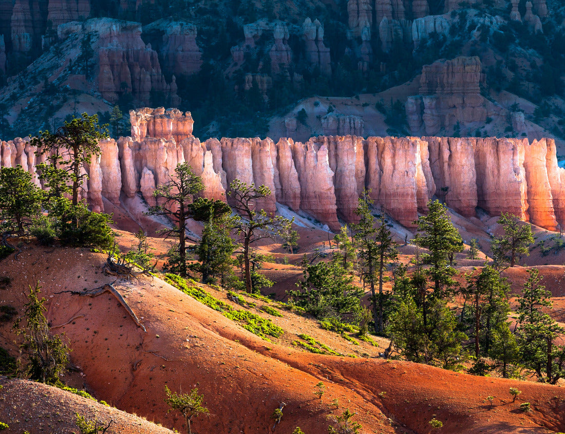 Noah Jigsaw Puzzle Bryce Canyon 1000 Pieces