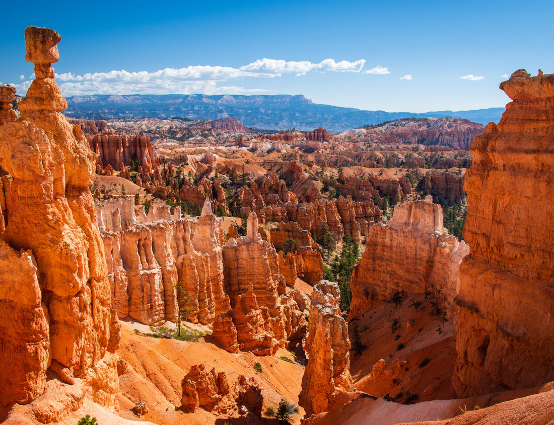 Noah Jigsaw Puzzle Bryce Canyon National Park at Navajo Loop Trail, Utah, USA 1000 Pieces
