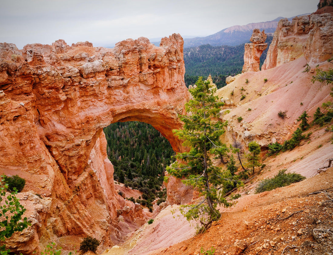 Noah Jigsaw Puzzle Bryce Canyon National Park (UT) 1000 Pieces