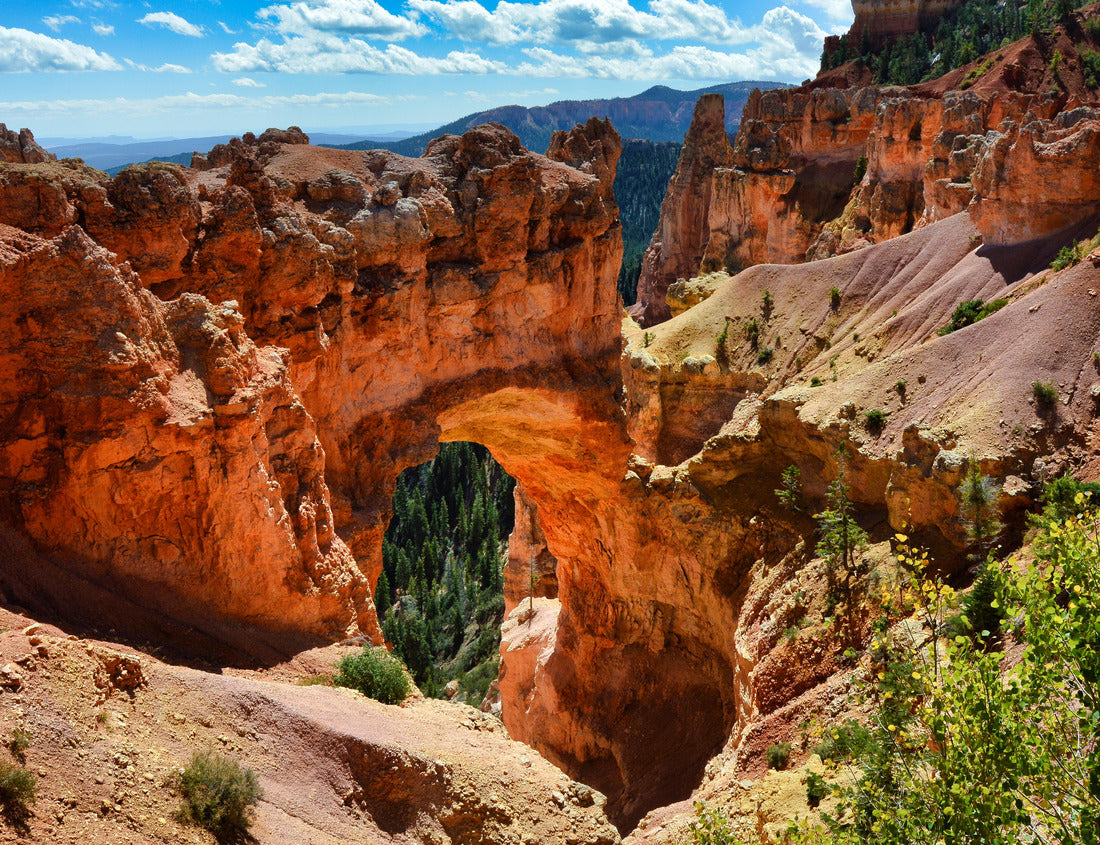 Noah Jigsaw Puzzle Bryce Canyon National Park in Utah, USA 1000 Pieces