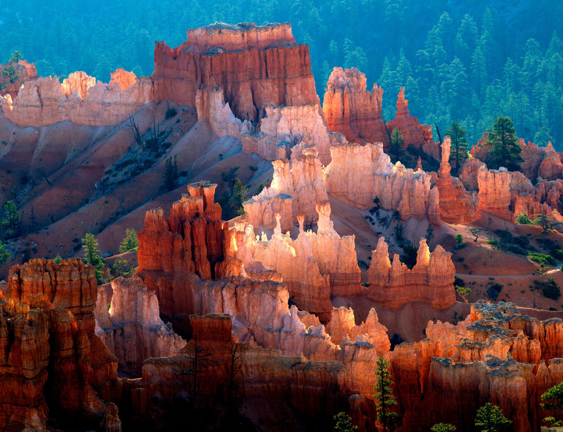Noah Jigsaw Puzzle Beautiful colors in the Canyon, Bryce Canyon National Park, Utah, USA 1000 Pieces