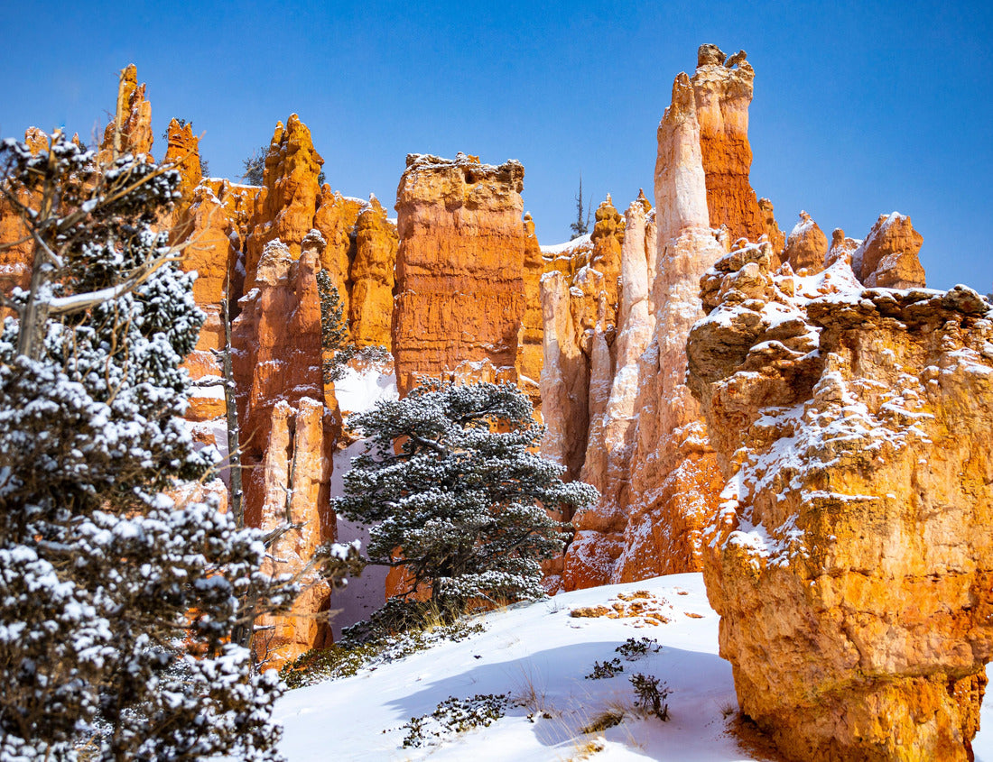 Noah Jigsaw Puzzle bryce canyon national park in winter, unique rock formations in utah covered in snow, orange rocks in snow, cold winter in the usa 1000 Pieces