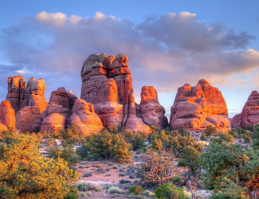 Noah Jigsaw Puzzle Sunset lit spires in Canyonlands National Park 1000 Pieces