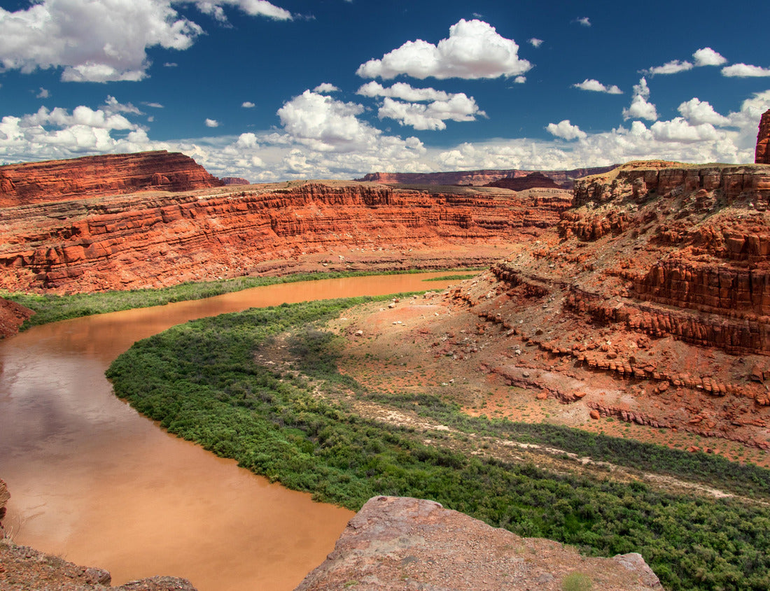 Noah Jigsaw Puzzle Canyonlands National Park, Utah, USA 1000 Pieces