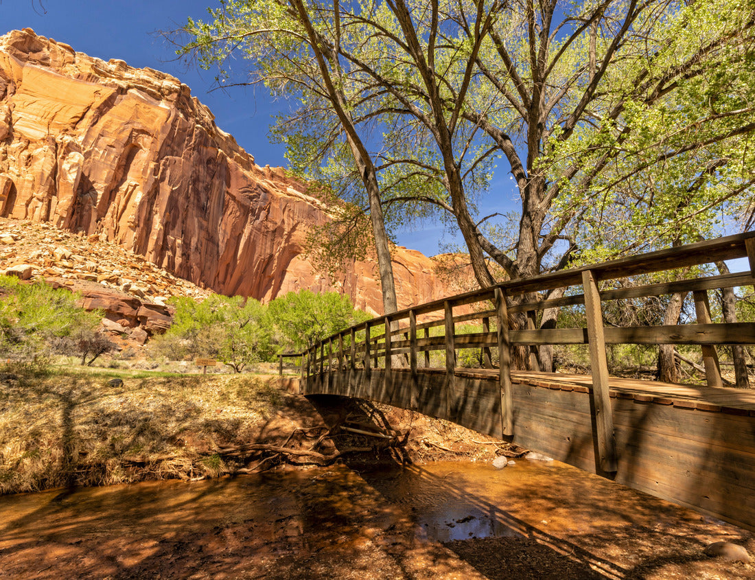 Noah Jigsaw Puzzle A wooden footbridge crosses shady Sulphur Creek in a picnic area in Capitol Reef National Park, Utah 1000 Pieces