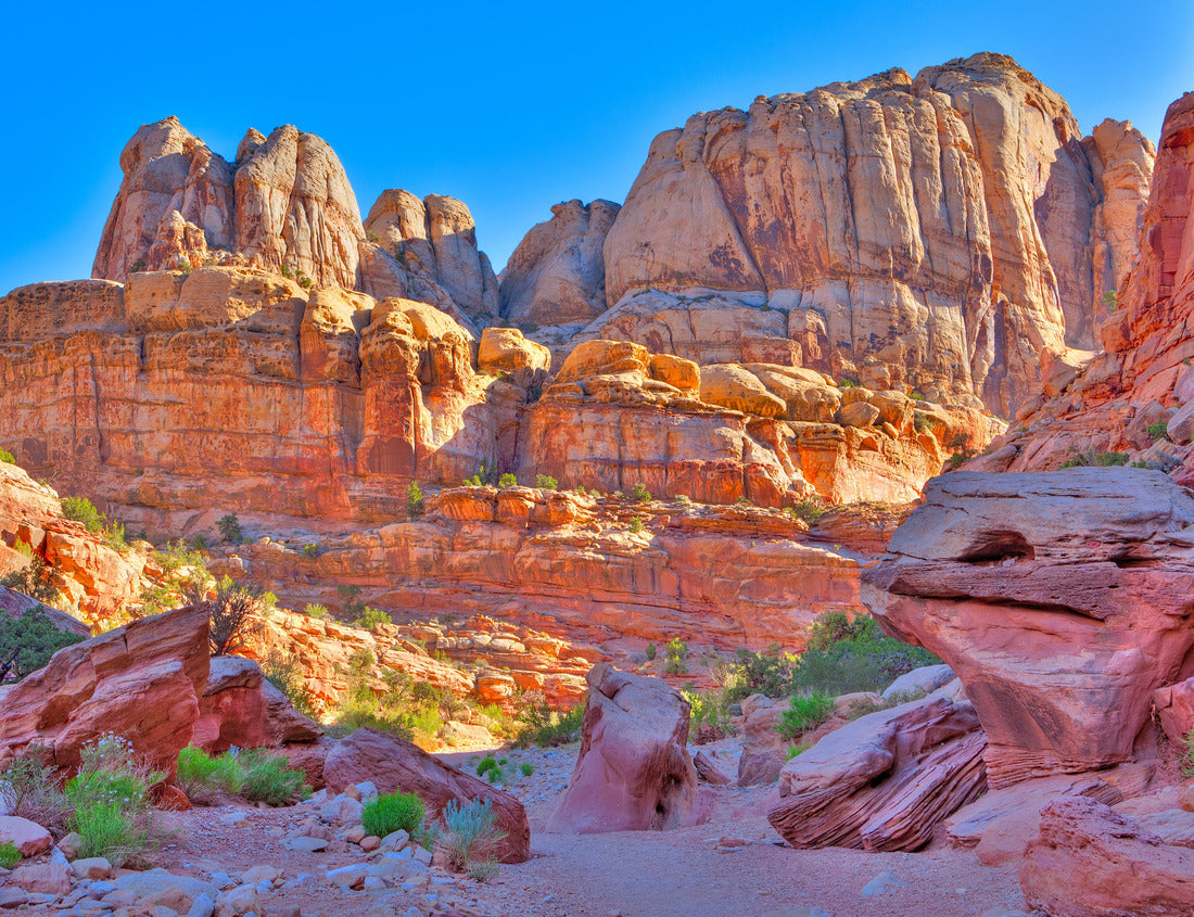 Noah Jigsaw Puzzle Grand Wash Trail in Capitol Reef National park 1000 Pieces