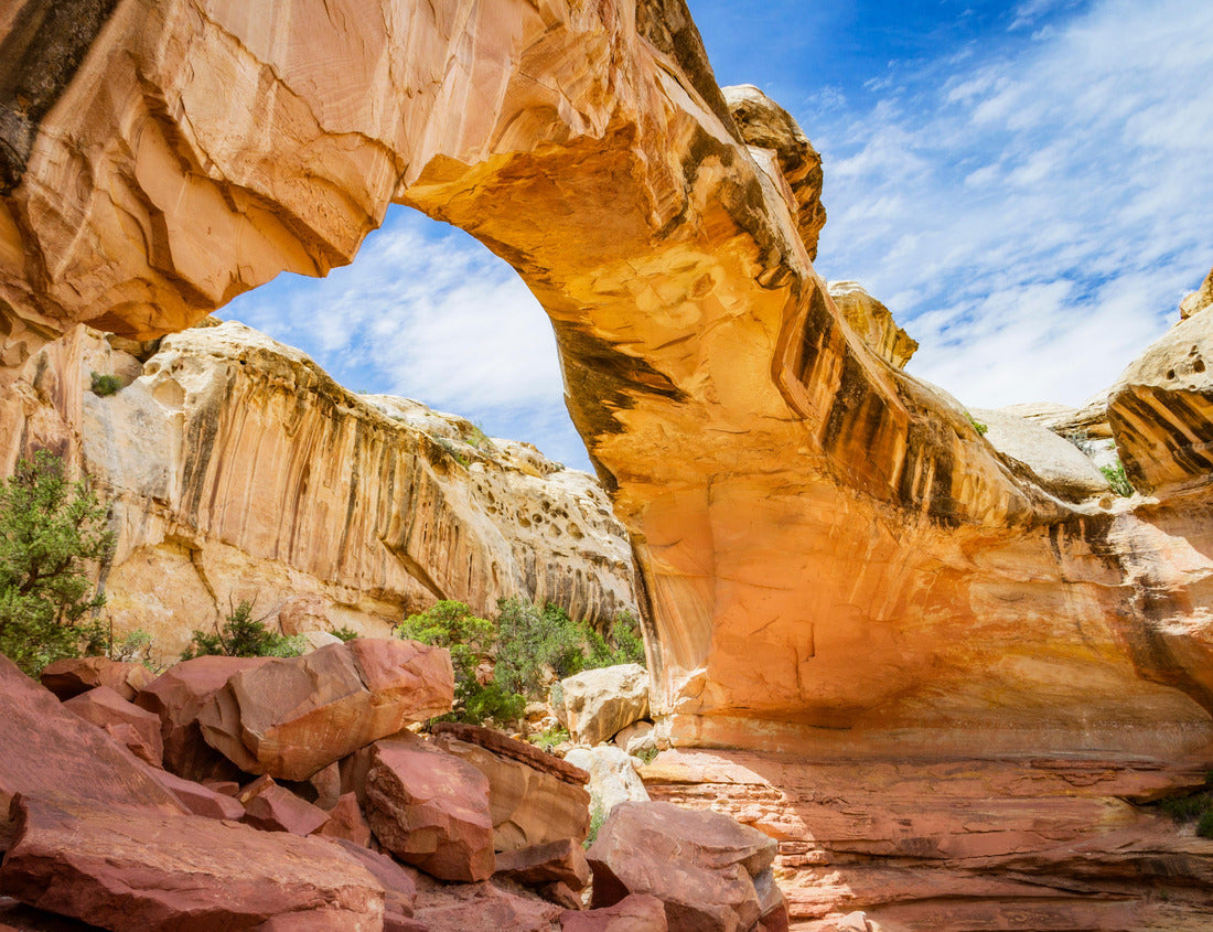 Noah Jigsaw Puzzle Hickman Bridge at Capitol Reef National Park, Utah 1000 Pieces