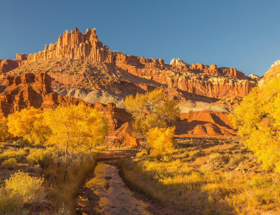 Noah Jigsaw Puzzle USA, Utah, Capitol Reef National Park. The Castle rock formation and Fremont River 1000 Pieces
