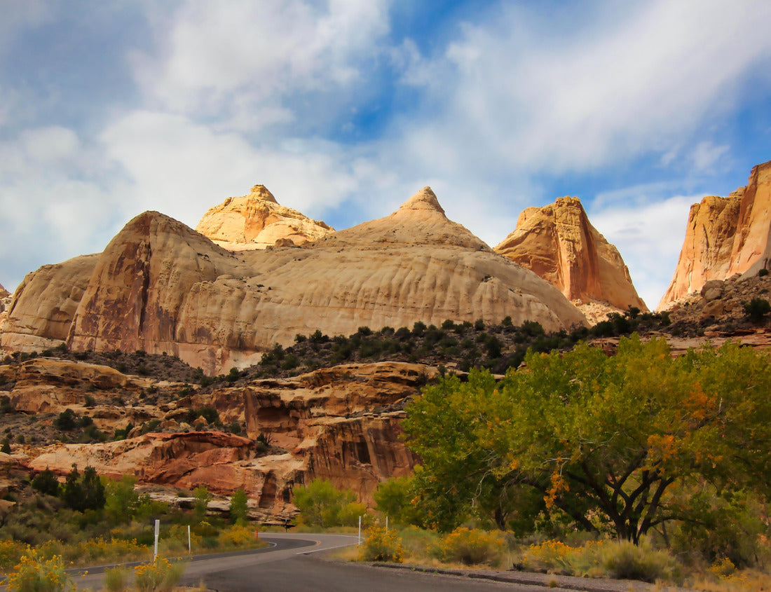 Noah Jigsaw Puzzle Navajo or Capitol Dome in Capitol Reef National Park in Utah 1000 Pieces