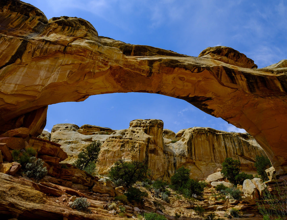 Noah Jigsaw Puzzle Capitol Reef National Park 1000 Pieces