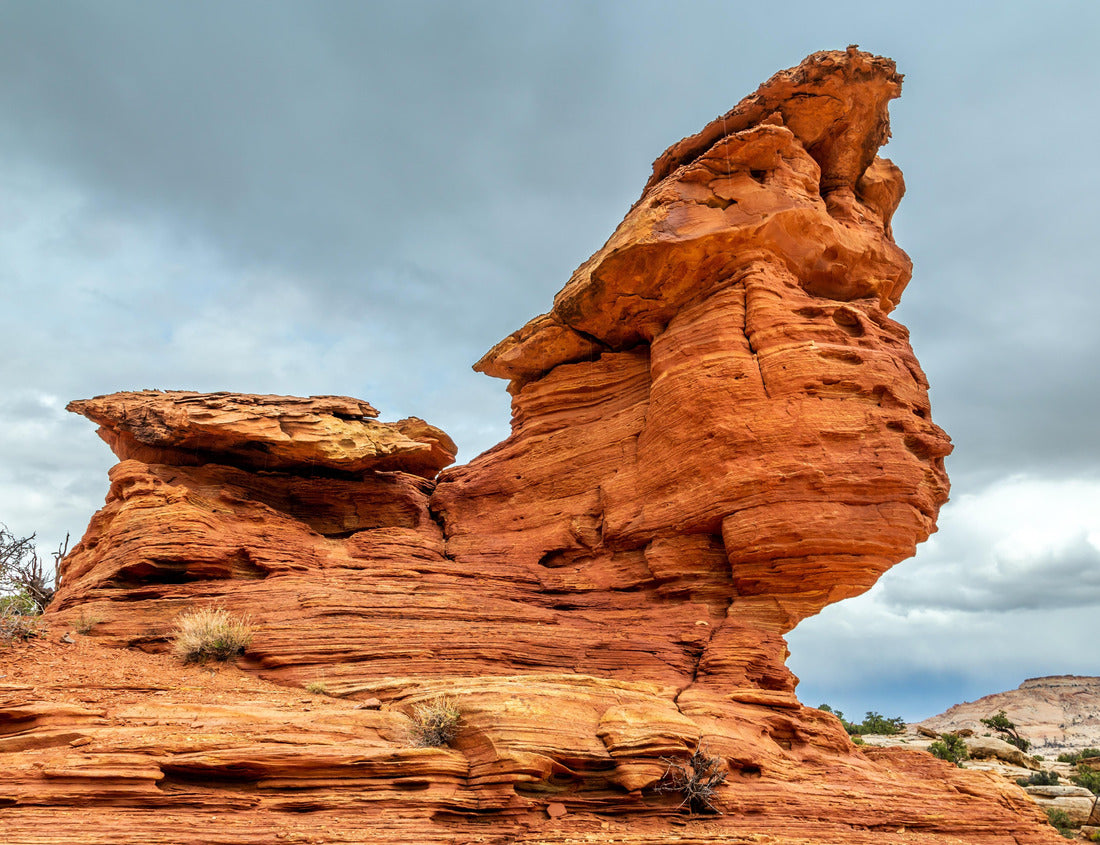 Noah Jigsaw Puzzle The red sphinx of Capitol reef is a rock formation that can be found when hiking to Cassidy Arch in Capitol Reef National Park, Utah 1000 Pieces