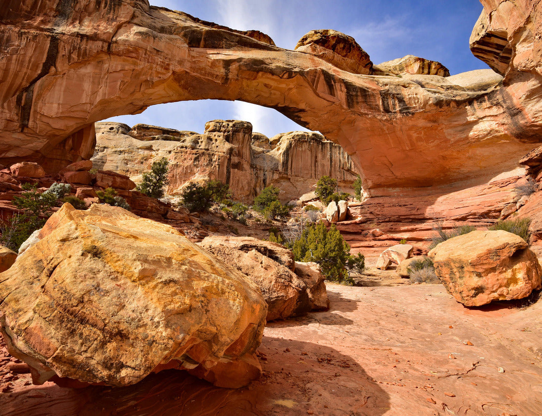 Noah Jigsaw Puzzle Capitol Reef National Park and surrounding area. Capitol Reef is one of five national parks in the state of Utah, USA Majestic red rock cliffs and natural bridges are common sites in the park 1000 Pieces