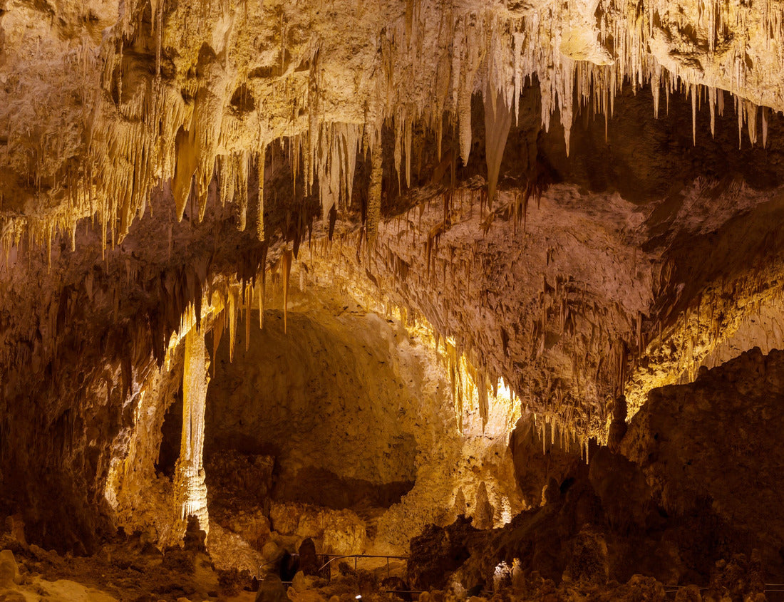 Noah Jigsaw Puzzle Carlsbad Caverns National Park in USA, New Mexico 1000 Pieces