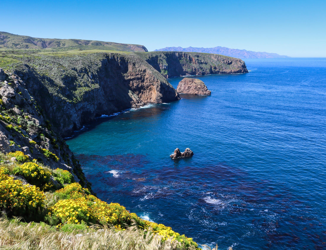 Noah Jigsaw Puzzle Coast of Santa Cruz Island, Channel Islands National Park 1000 Pieces
