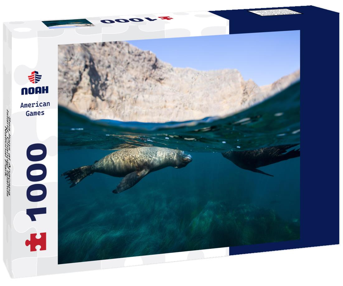 Noah Jigsaw Puzzle Sea lions at Anacapa Island, Channel Islands National Park 1000 Pieces