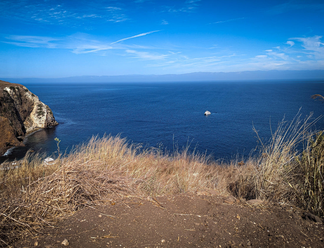Noah Jigsaw Puzzle Channel Islands National Park California 1000 Pieces