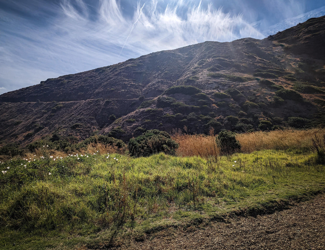 Noah Jigsaw Puzzle Channel Islands National Park California 1000 Pieces