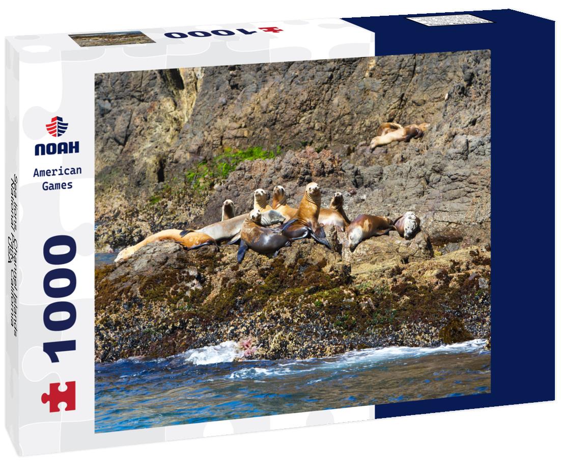 Noah Jigsaw Puzzle Sea lions, Channel Islands National Park, California, USA 1000 Pieces