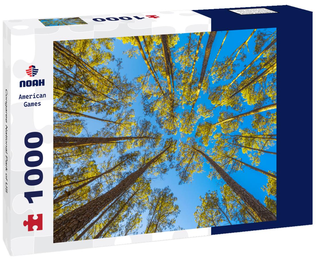 Noah Jigsaw Puzzle Congaree National Park of US 1000 Pieces