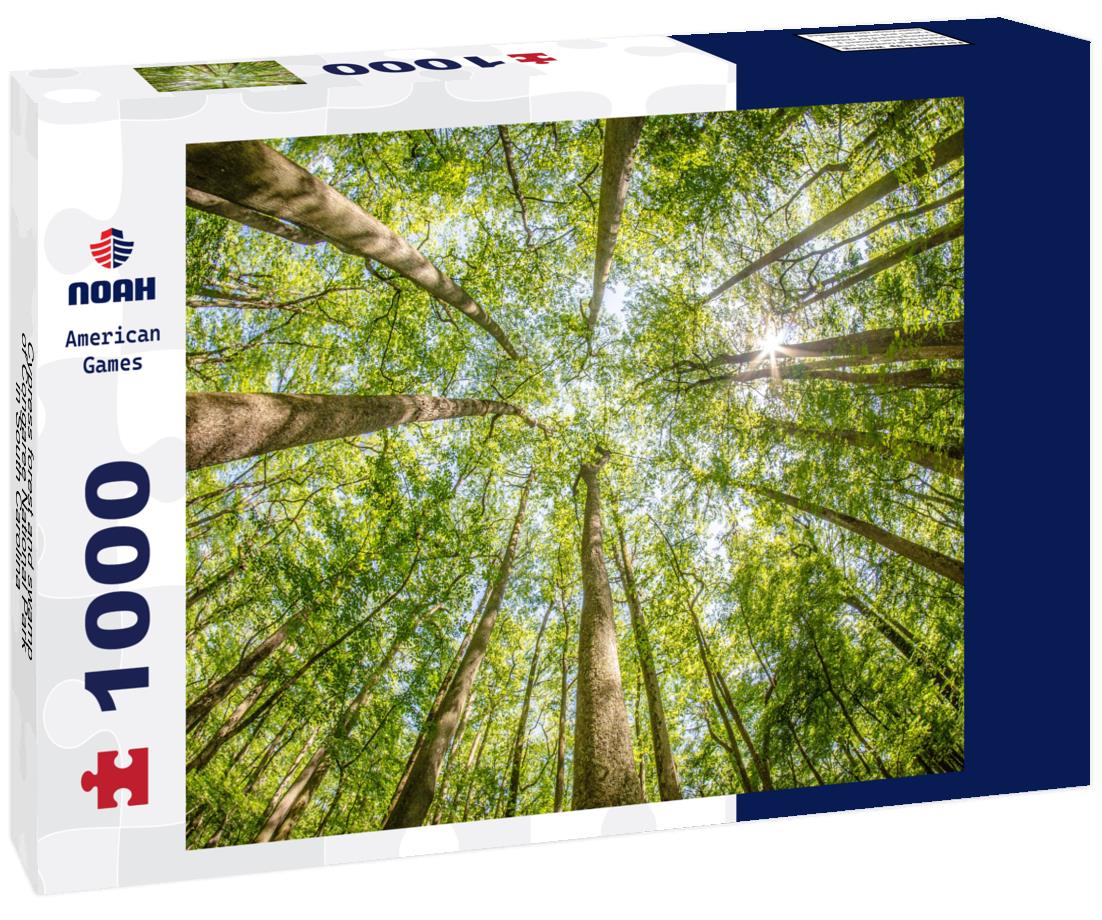 Noah Jigsaw Puzzle Cypress forest and swamp of Congaree National Park in South Carolina 1000 Pieces