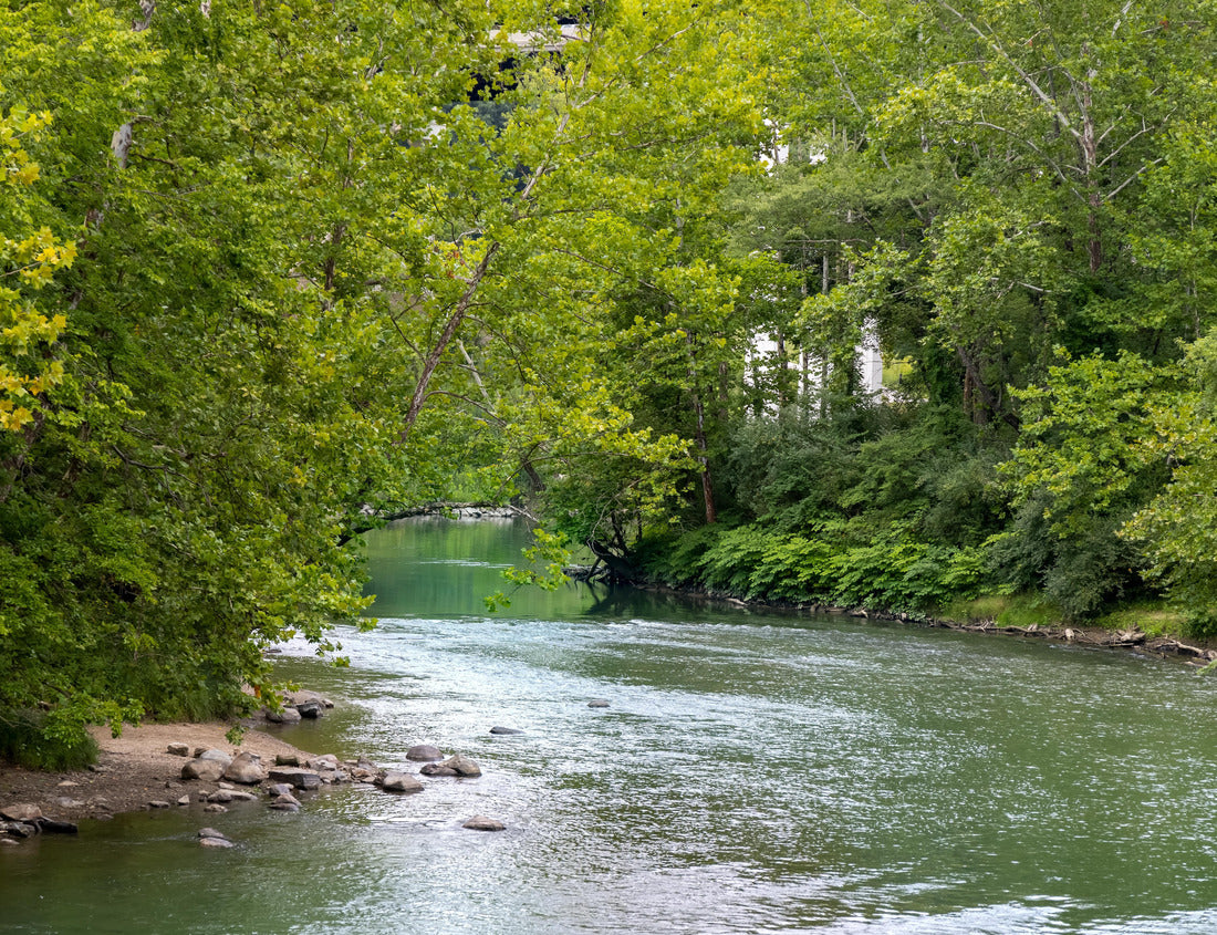 Noah Jigsaw Puzzle Lush green trees by the Cuyahoga riverside at Cuyahoga valley national park, Ohio 1000 Pieces