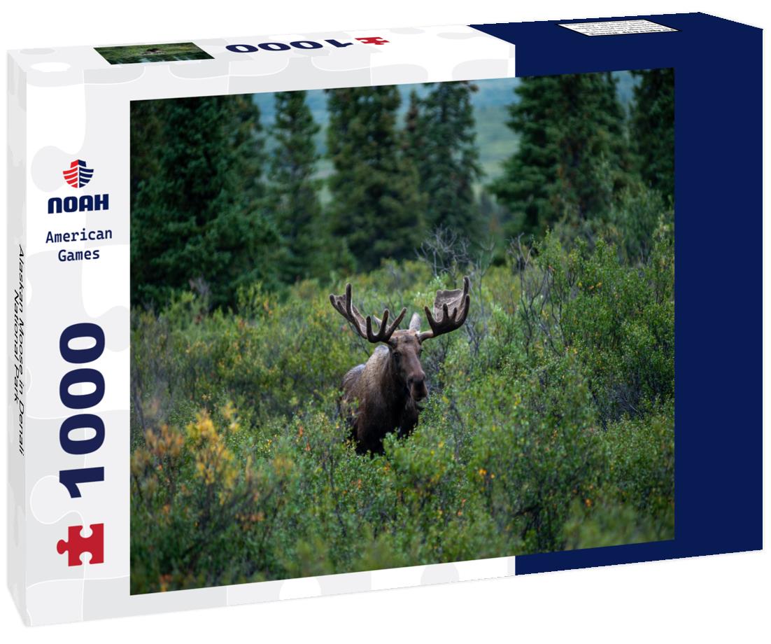 Noah Jigsaw Puzzle Alaskan Moose in Denali National Park 1000 Pieces