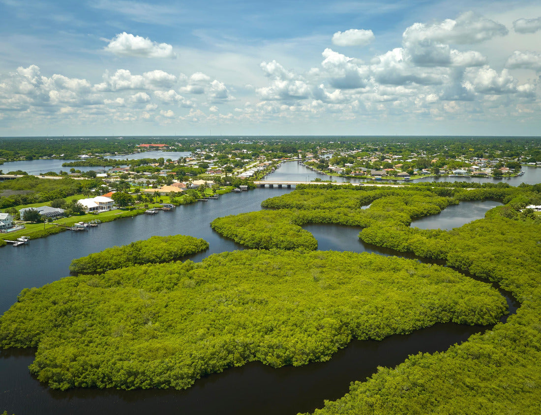Noah Jigsaw Puzzle View from above of Florida everglades with green vegetation between ocean water inlets. Natural habitat of many tropical species in wetlands 1000 Pieces