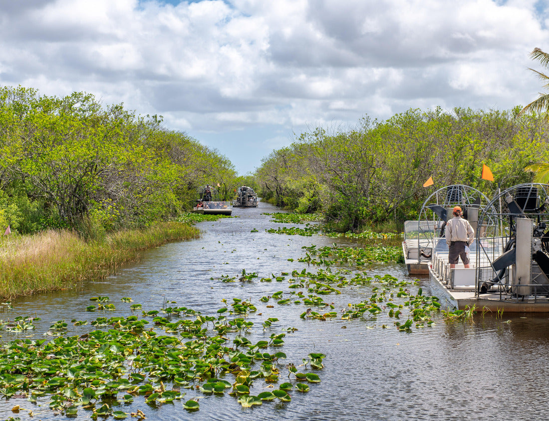 Noah Jigsaw Puzzle Airboats tours in Everglades National Park, Florida 1000 Pieces