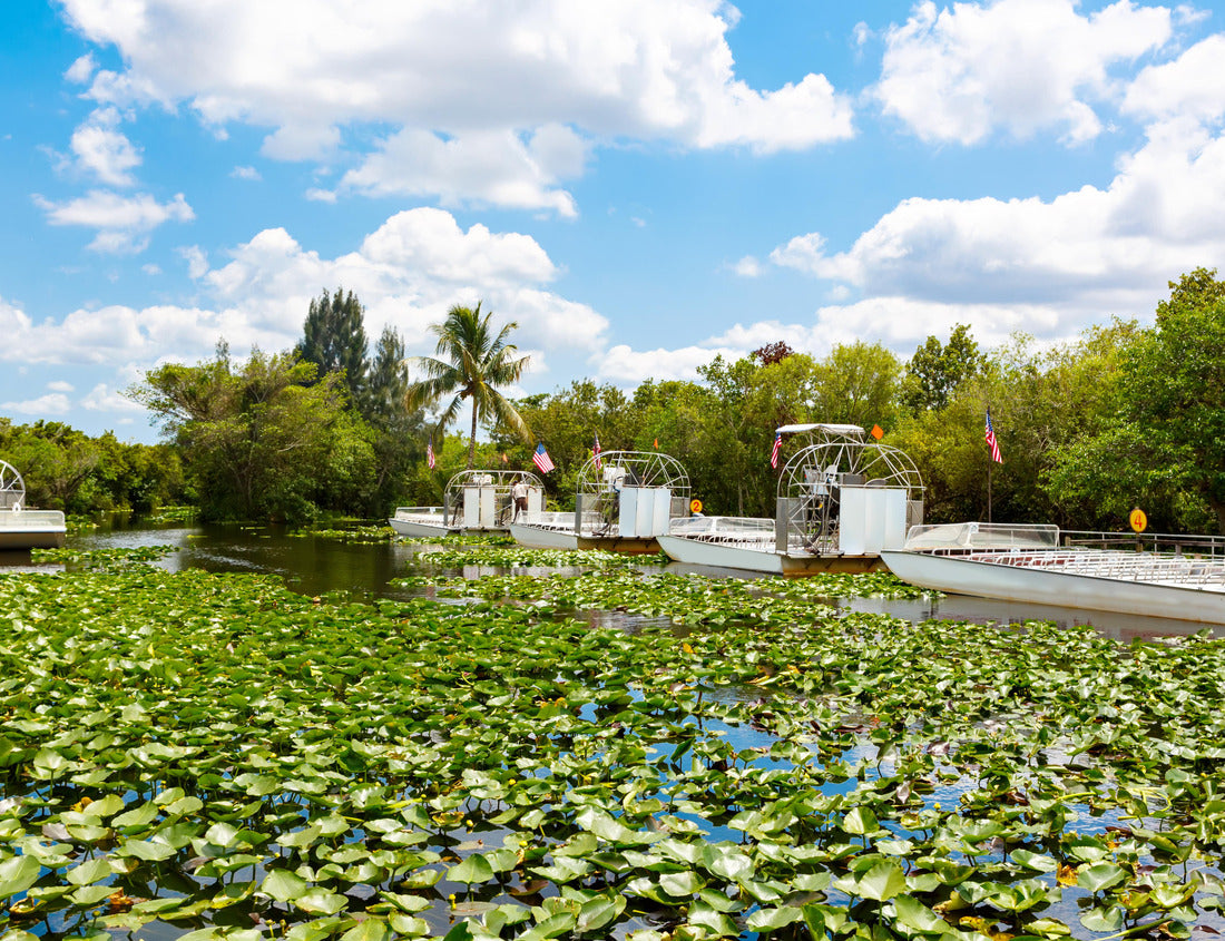 Noah Jigsaw Puzzle Florida wetland, Airboat ride at Everglades National Park in USA. Popular place for tourists, wild nature and animals 1000 Pieces