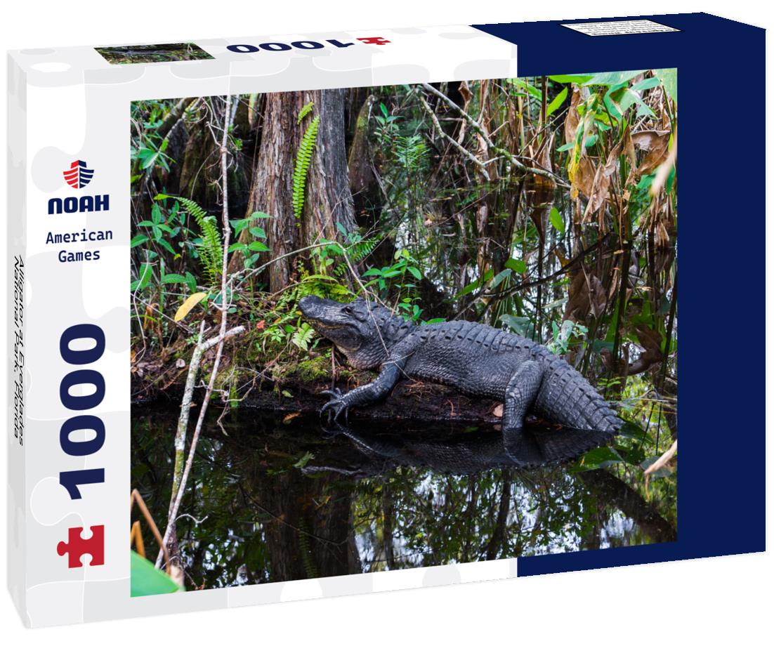 Noah Jigsaw Puzzle Alligator at Everglades National Park, Florida 1000 Pieces