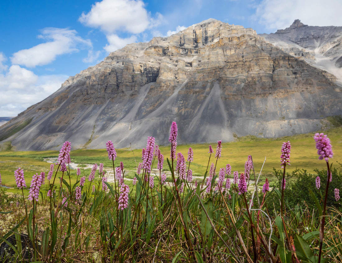 Noah Jigsaw Puzzle Landscape view of Gates of the Arctic National Park (Alaska), the least visited national park in the United States 1000 Pieces