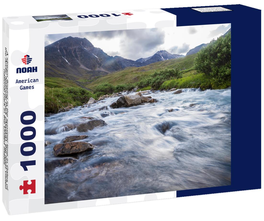 Noah Jigsaw Puzzle A stream flowing in the summer time in Gates of the Arctic National Park (Alaska), the least visited national park in the United States 1000 Pieces