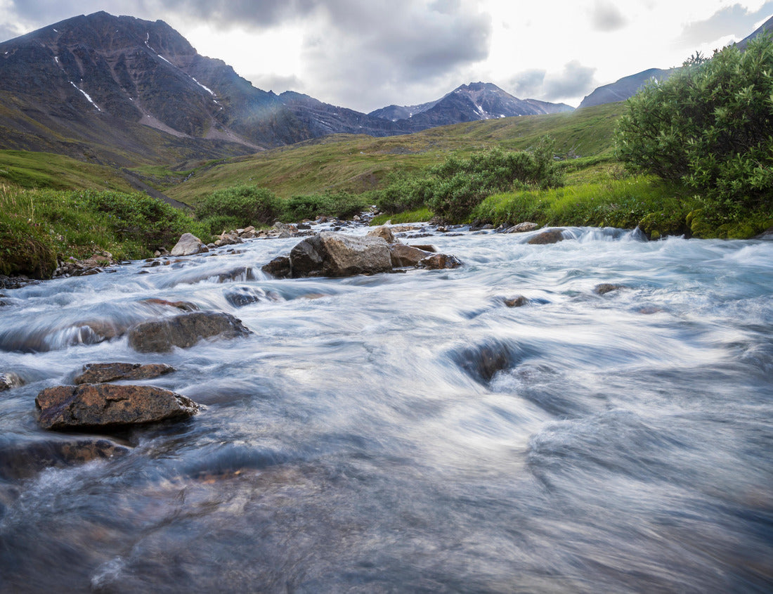 Noah Jigsaw Puzzle A stream flowing in the summer time in Gates of the Arctic National Park (Alaska), the least visited national park in the United States 1000 Pieces