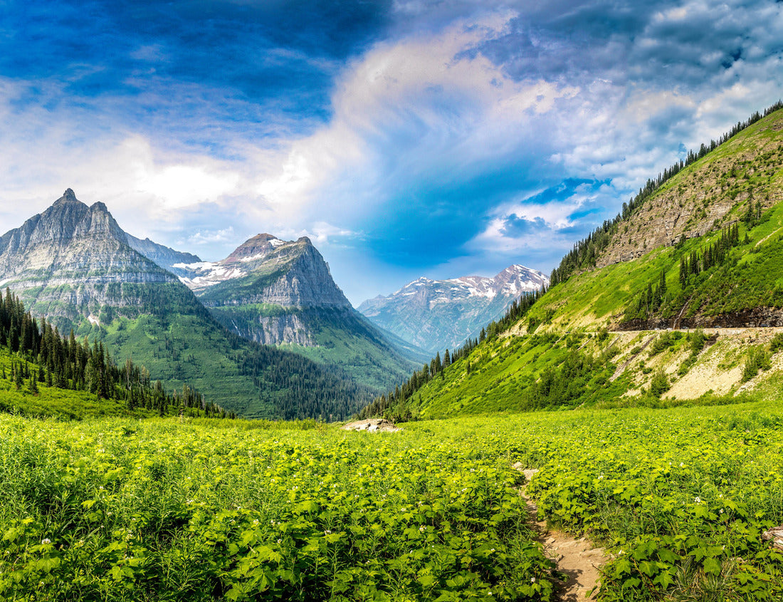 Noah Jigsaw Puzzle Majestic view over the Glacier National Park from the Going to sun road, Montana 1000 Pieces