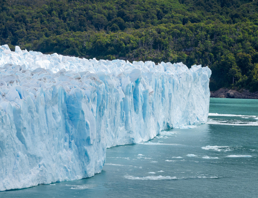 Noah Jigsaw Puzzle Glacier Bay National Park USA 1000 Pieces
