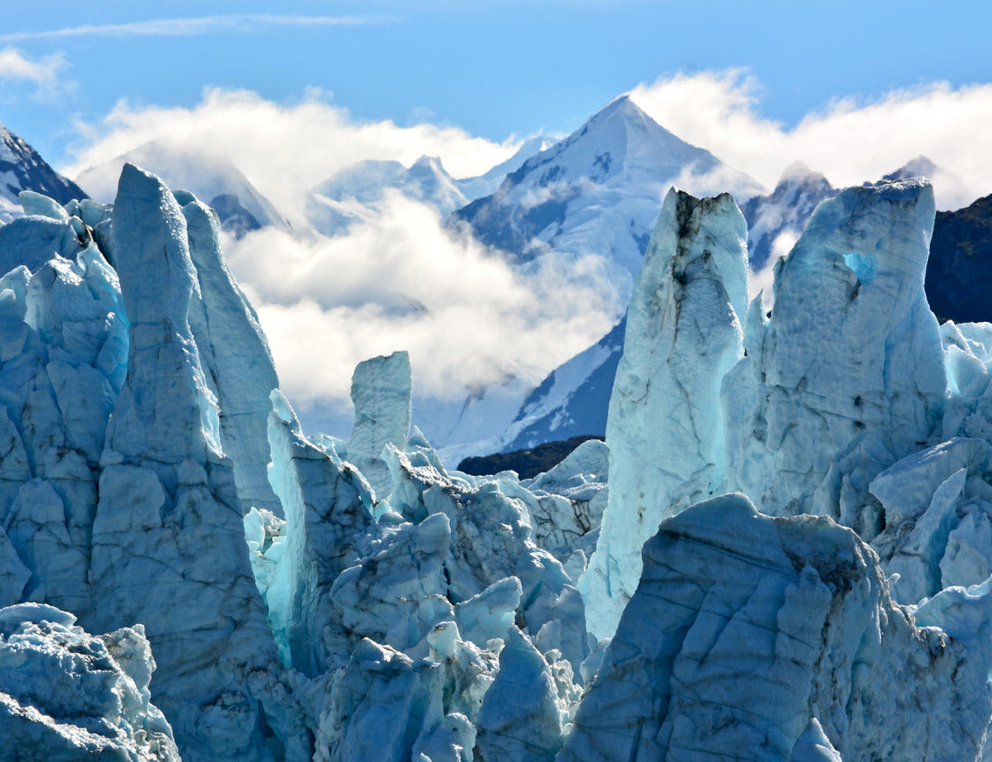 Noah Jigsaw Puzzle Marjerie Glacier at Glacier Bay National Park 1000 Pieces