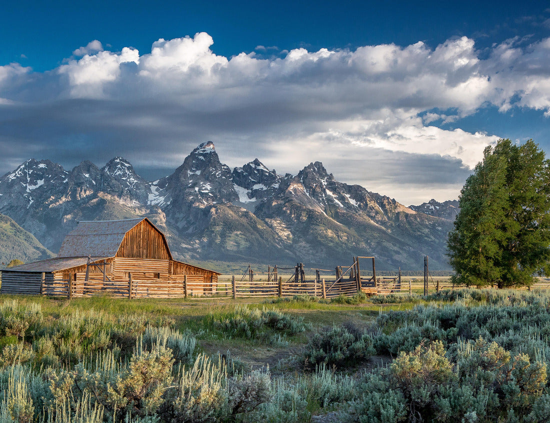 Noah Jigsaw Puzzle Mormon Row in Grand Teton National Park, Wyoming 1000 Pieces