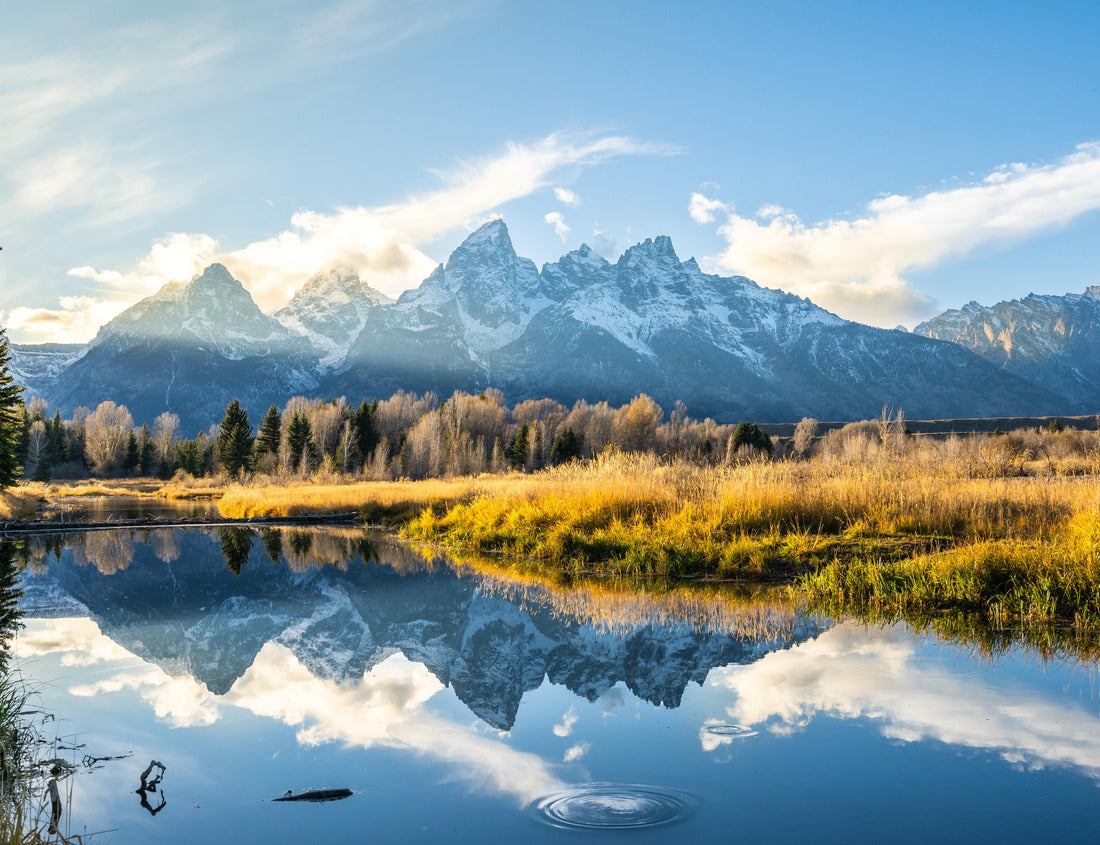 Noah Jigsaw Puzzle Schwabacher landing Grand Teton National Park 1000 Pieces