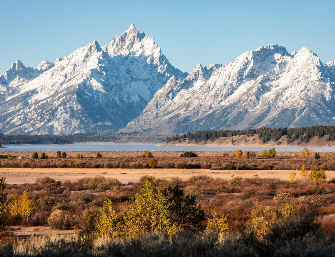 Noah Jigsaw Puzzle Snow cover mountain peak of Grand Teton and Mount Moran outstanding in blue sky beside Jackson Lake and Willow Flats of Grand Teton National Park, Wyoming, USA 1000 Pieces
