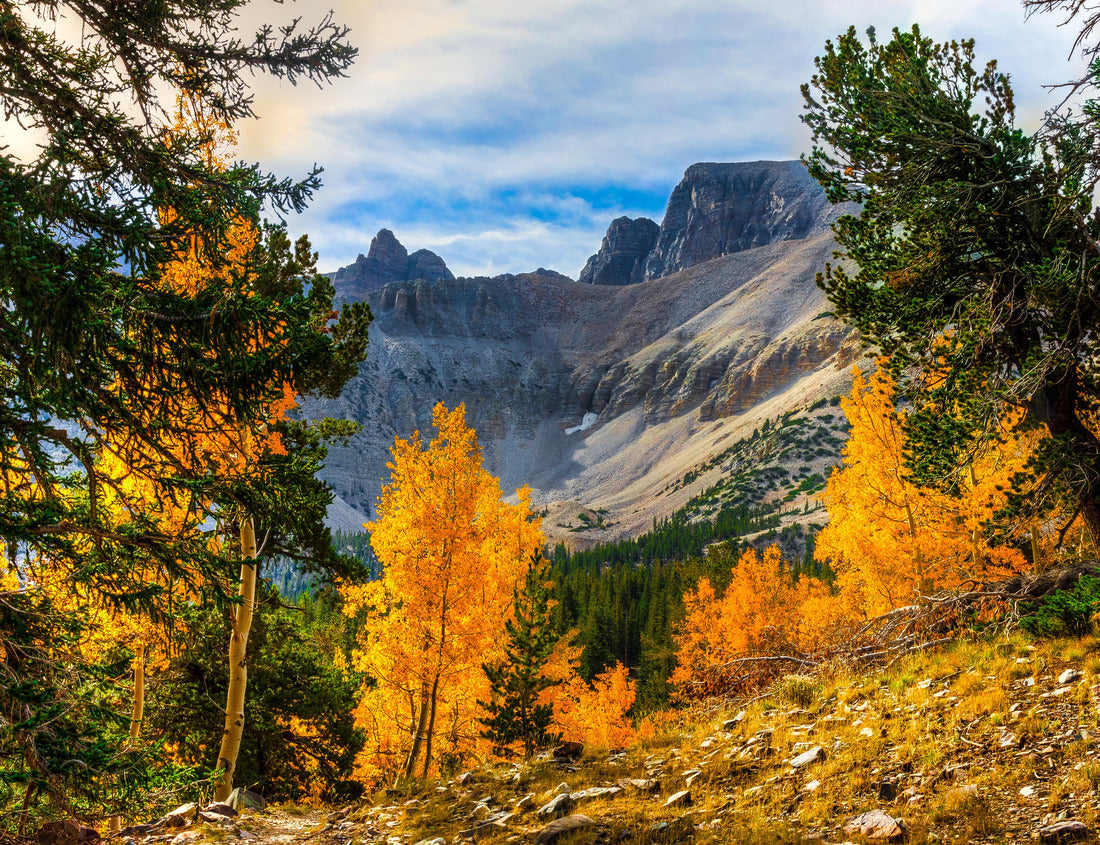 Wheeler Peak-Great Basin National Park, Nevada. This less visited national park boasts spectacular Wheeler Peak at more than 13,000 feet in elevation 1000pc Puzzle