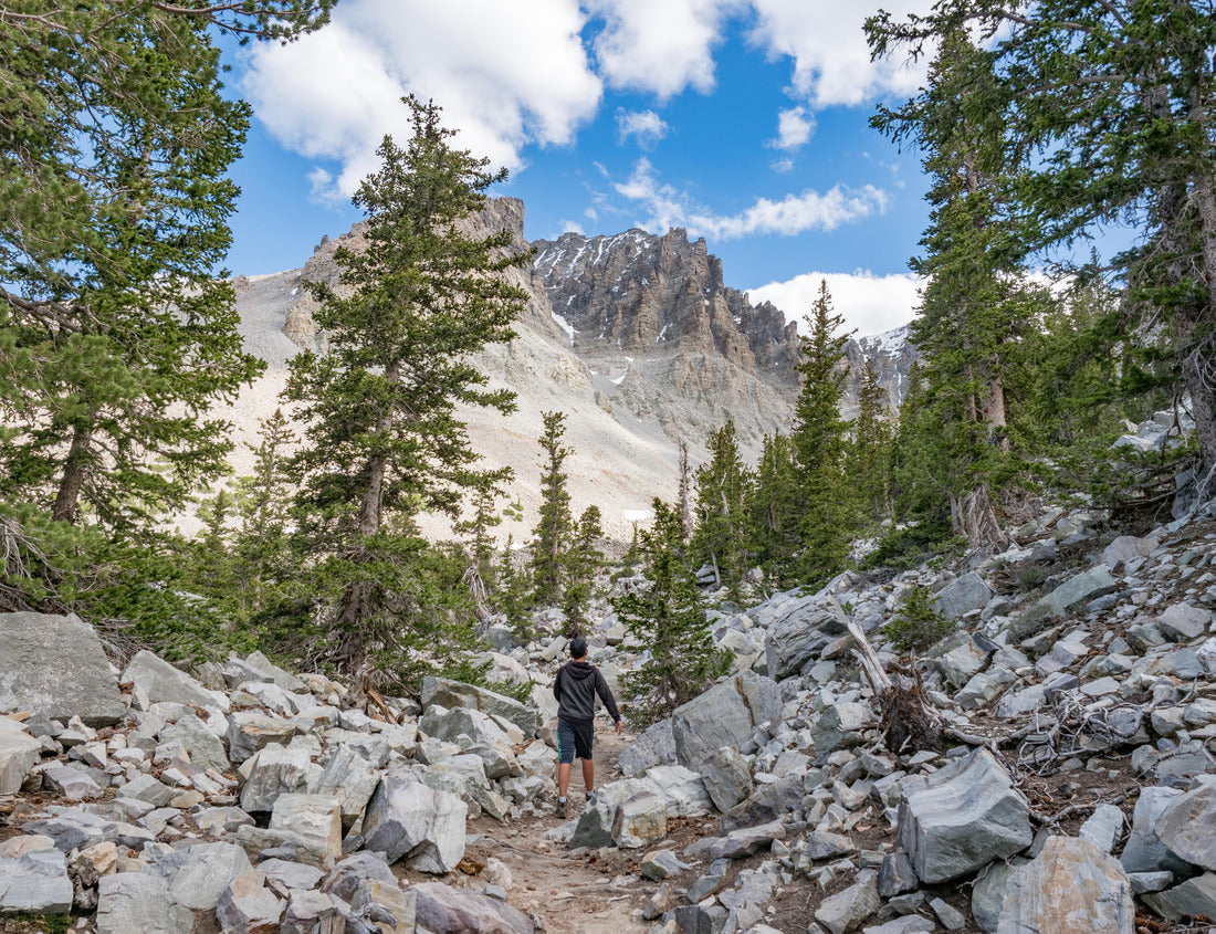 Noah Jigsaw Puzzle Boy hiking in ancient bristlecone pine forest in Great Basin National Park, Baker, Nevada, USA 1000 Pieces
