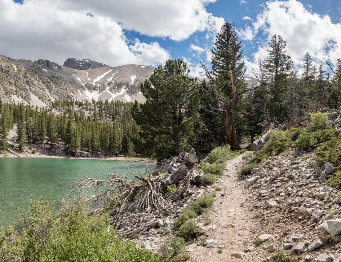 Noah Jigsaw Puzzle Theresa Lake, alpine lake in Great Basin National Park, Baker, Nevada, USA 1000 Pieces