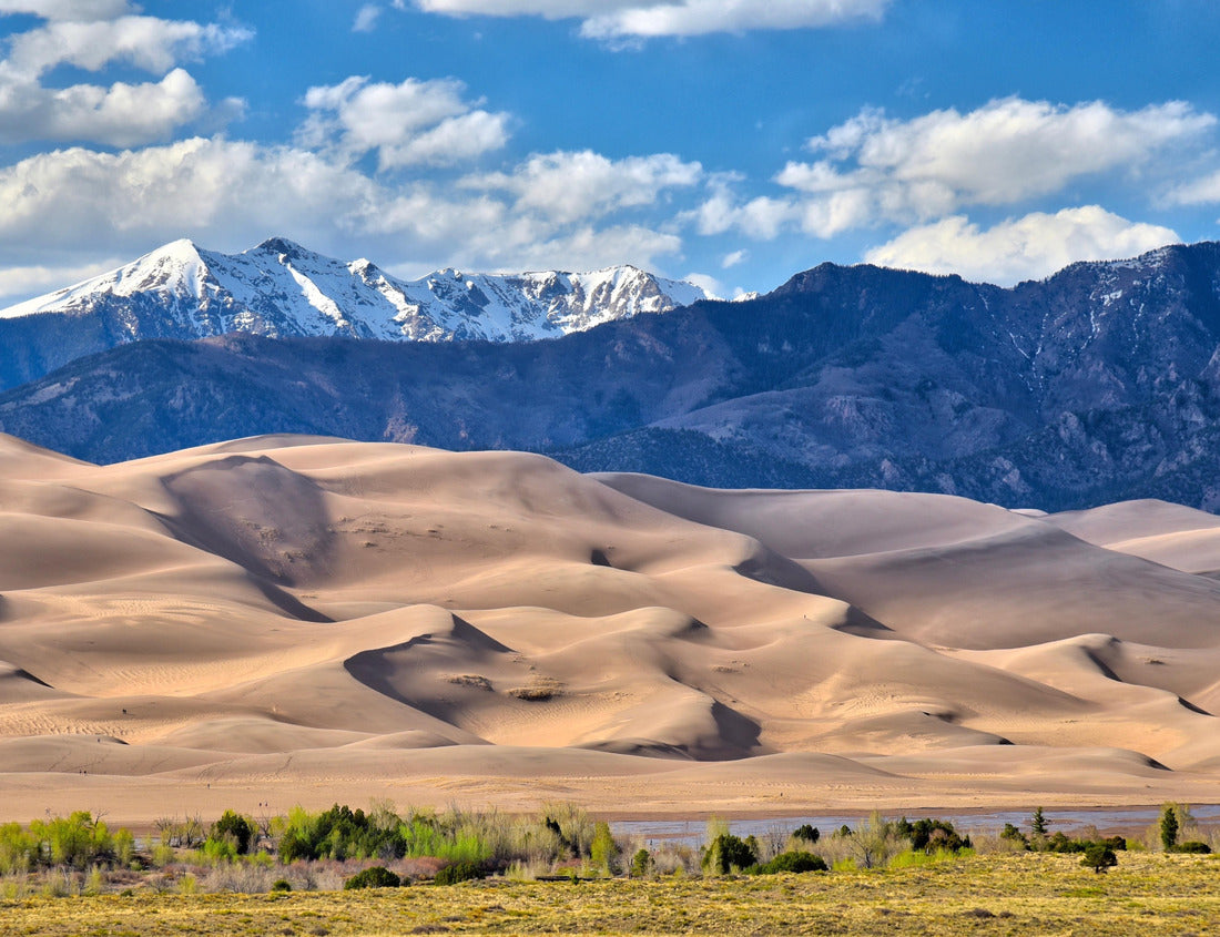 Noah Jigsaw Puzzle Great Sand Dunes National Park 1000 Pieces
