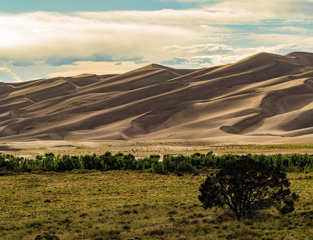 Noah Jigsaw Puzzle Sunny view of the landscape of Great Sand Dunes National Park and Preserve at Colorado 1000 Pieces