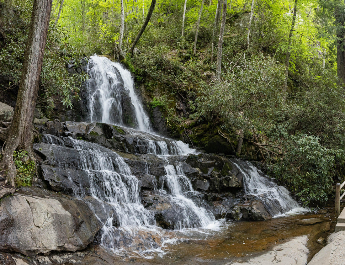 Noah Jigsaw Puzzle Waterfall Laurel Falls with bridge trail in Great Smoky Mountains National Park 1000 Pieces