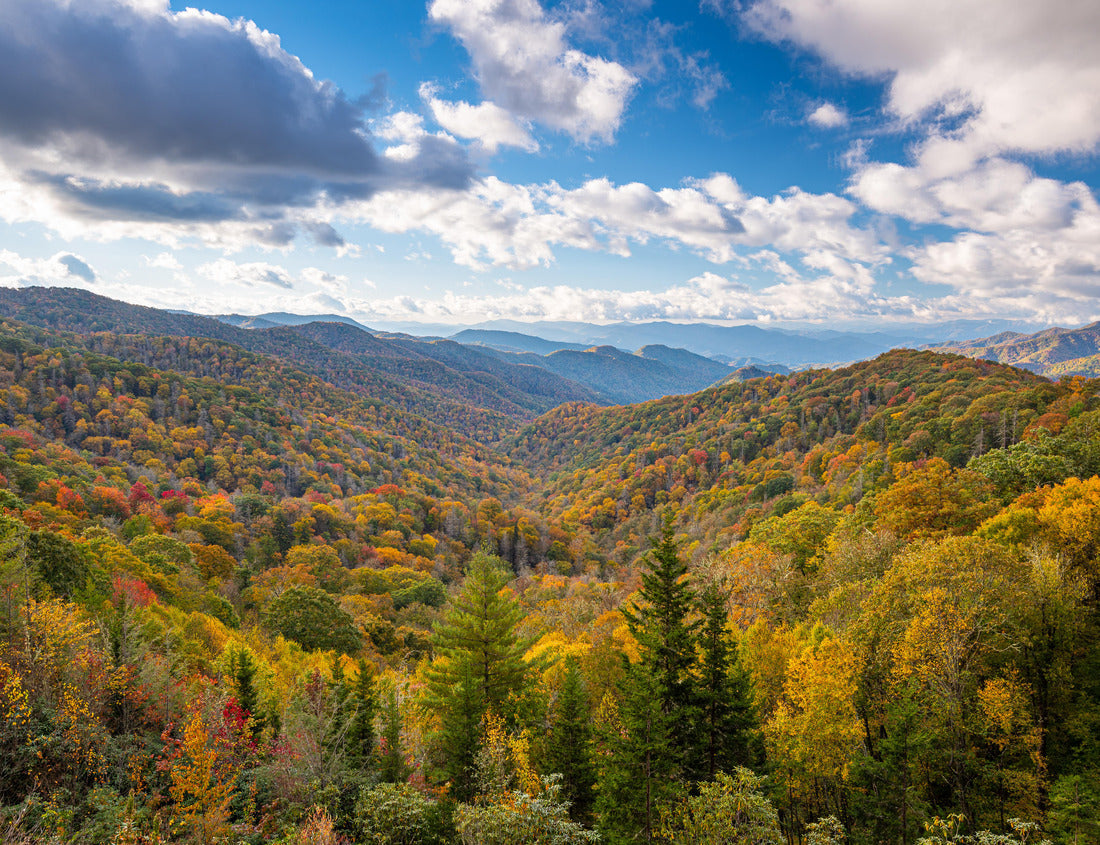 Noah Jigsaw Puzzle Great Smoky Mountains National Park, Tennessee, USA overlooking the Newfound Pass in autumn 1000 Pieces