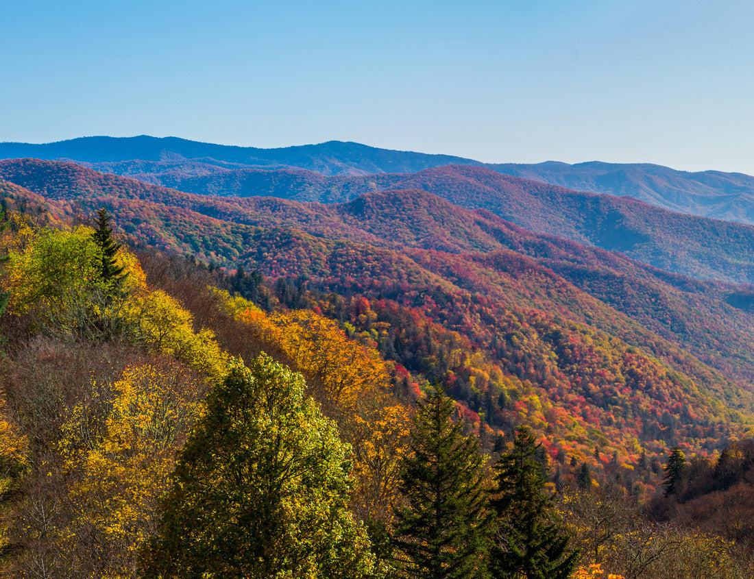 Noah Jigsaw Puzzle Autumn Scenics in the Great Smoky Mountains National Park 1000 Pieces