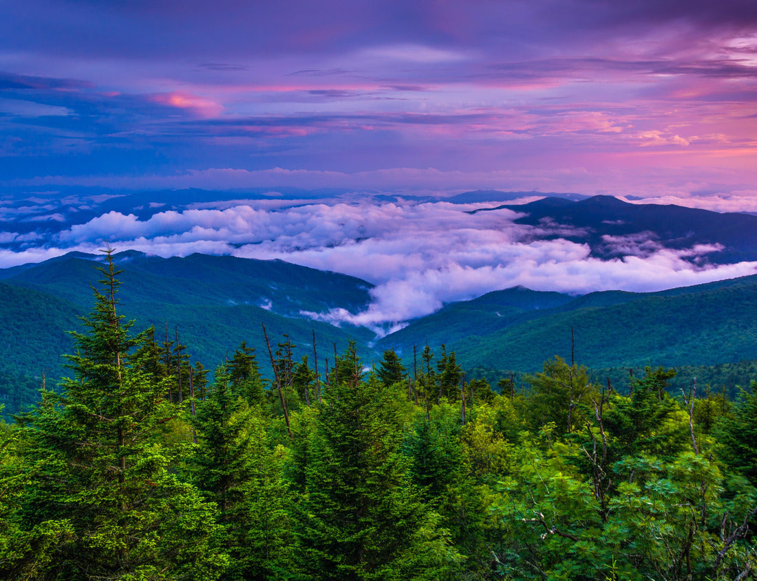Noah Jigsaw Puzzle Low clouds in the valley at sunset, seen from Clingmans Dome, Great Smoky Mountains National Park, Tennessee 1000 Pieces